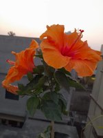 20220304_180607.jpg