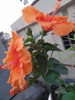 20220304_180630.jpg