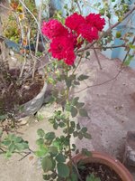 20220304_181019.jpg