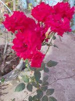 20220304_181025.jpg