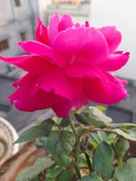 20220308_064310.jpg