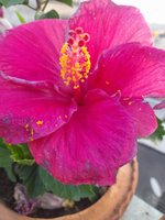 20220308_064315.jpg