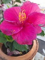 20220308_064319.jpg