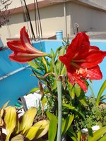 20220313_114620.jpg