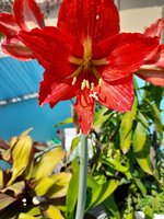 20220313_114627.jpg
