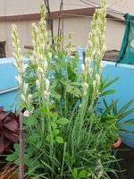 20220726_090039.jpg