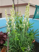 20220726_090046.jpg