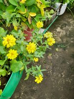 20220726_090311.jpg