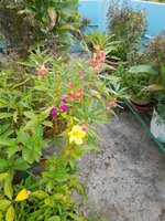 20220903_070518.jpg