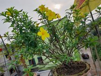 20220903_070613.jpg