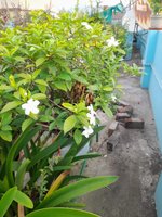 20220903_070704.jpg