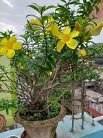 20220923_075541.jpg