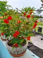 20220923_075550.jpg