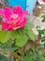 20220923_075707.jpg