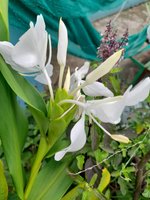 20220923_075753.jpg