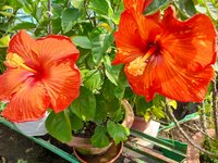 20221013_100611.jpg
