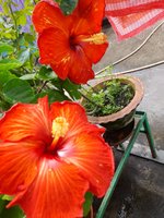 20221013_100625.jpg