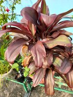 20221016_090245.jpg