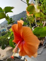 20221016_090341.jpg