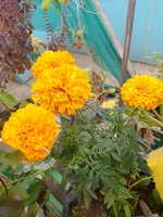 20221201_080805.jpg