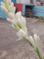 20221201_080850.jpg