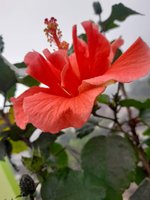 20221201_080934.jpg