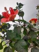20221201_080938.jpg