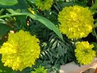 20221201_094339.jpg