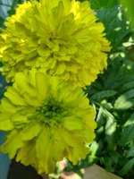 20221204_105326.jpg