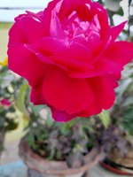 20230105_170140.jpg