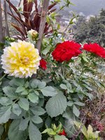 20230118_075129.jpg