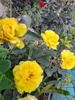 20230126_153803.jpg