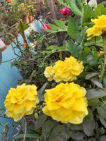 20230127_162209.jpg