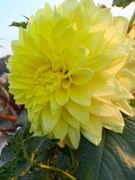 20230131_170728.jpg