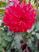 20230131_170739.jpg
