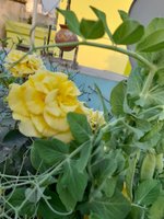 20230131_170842.jpg