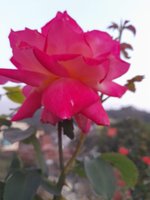 20230131_174647.jpg