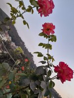 20230131_174711.jpg
