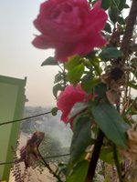 20230313_082509.jpg