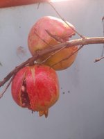 20230313_083639.jpg