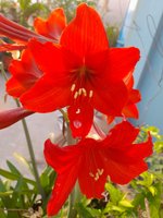 20230325_070646.jpg