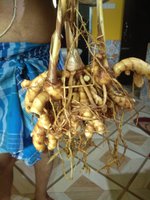 IMG_20211010_082821.jpg