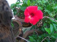 IMG_20211021_072216.jpg