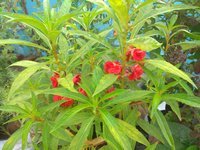 IMG_20211021_072238.jpg