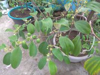 IMG_20211021_072311.jpg
