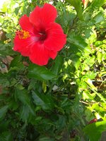 IMG_20211022_090550.jpg