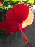 IMG_20211022_090606.jpg