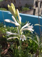 IMG_20211022_090757.jpg