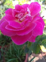 IMG_20211022_090810.jpg